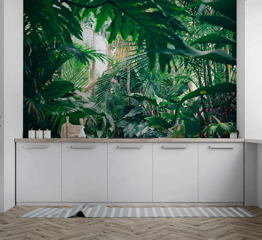 wall murals Dense jungle u05361