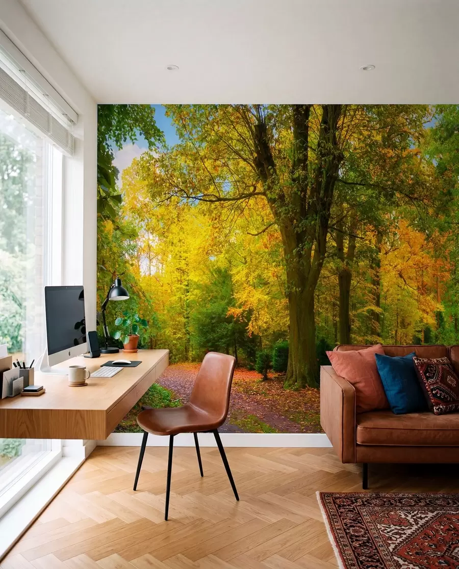 wall murals Beginning of autumn u08547