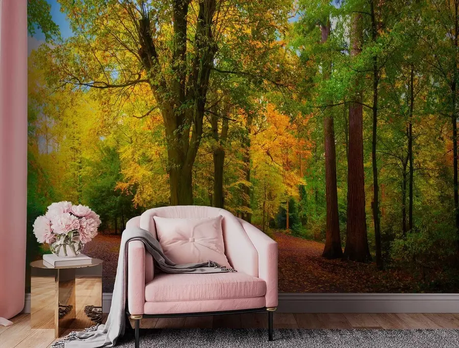 wall murals Beginning of autumn u08547