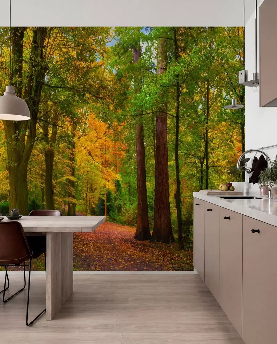 wall murals Beginning of autumn u08547