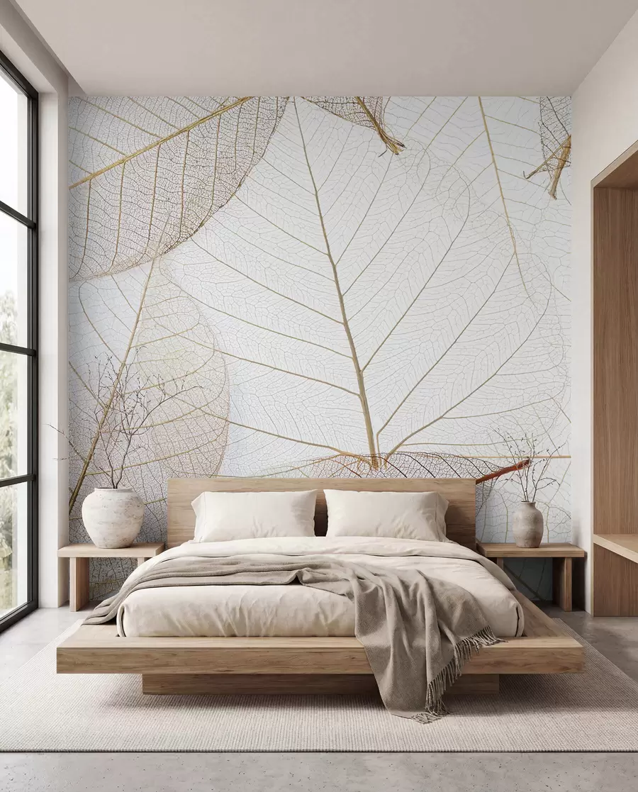 wall murals Transparent leaves u24439