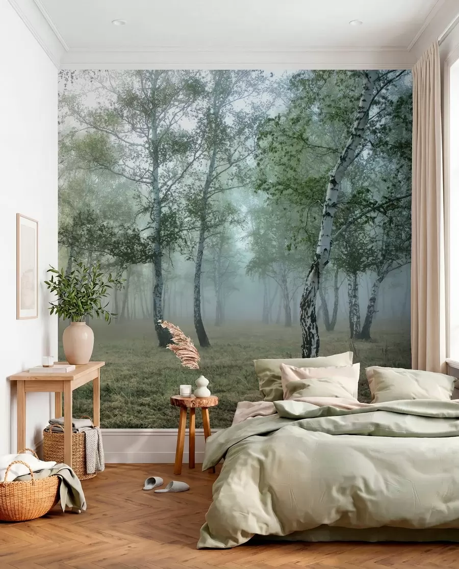 wall murals Fog Birch Forest u25820