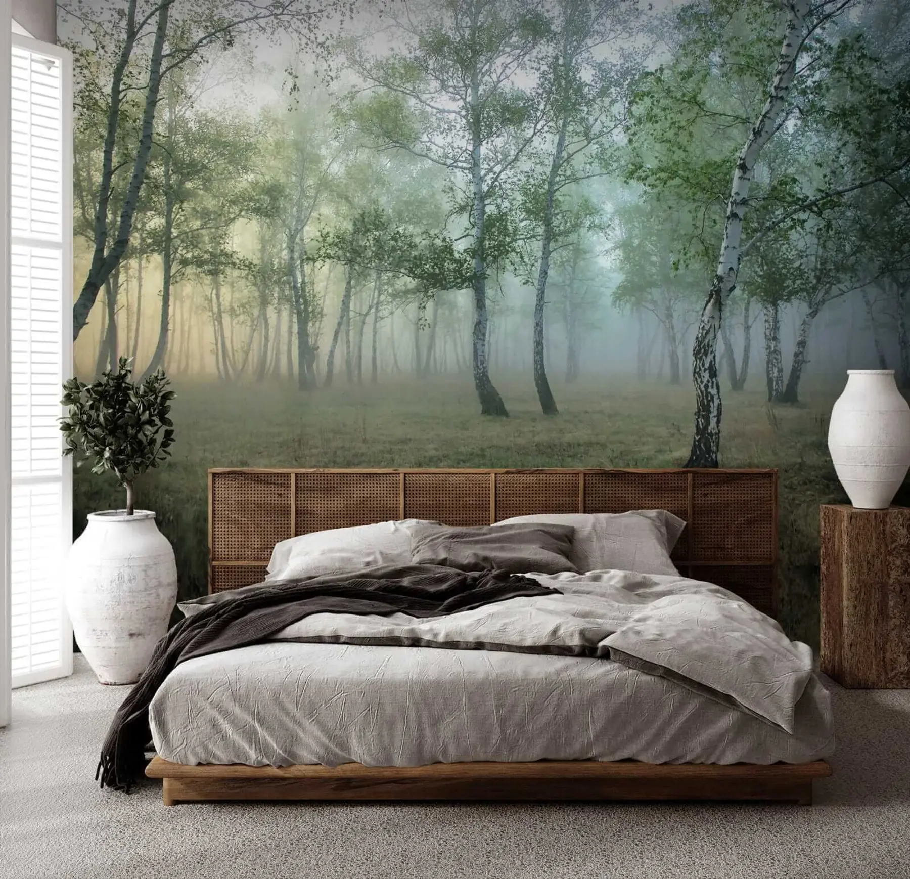 wall murals Fog Birch Forest u25820