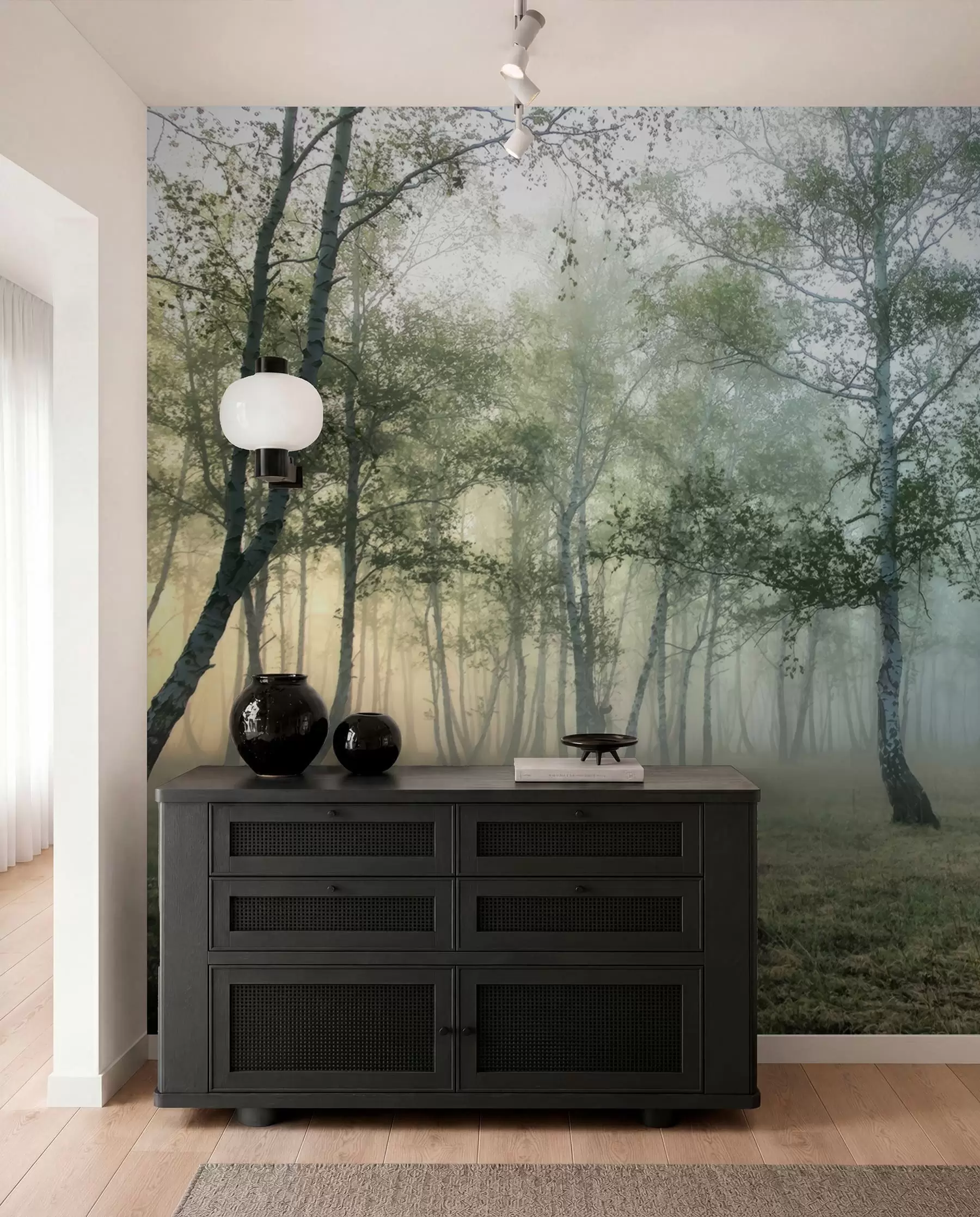 wall murals Fog Birch Forest u25820