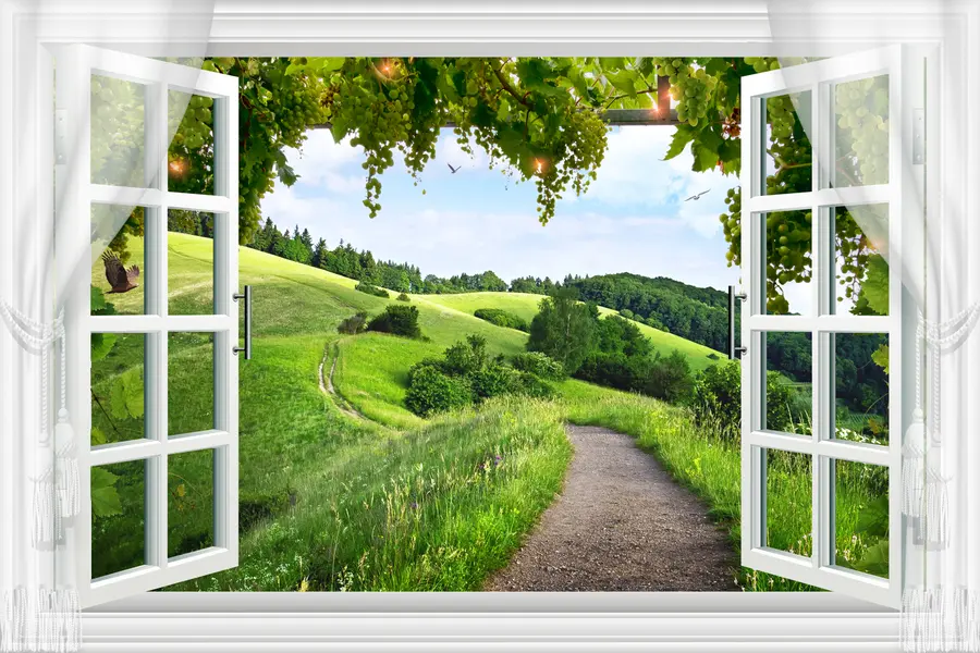 wall murals View from the window to the clearing u28196