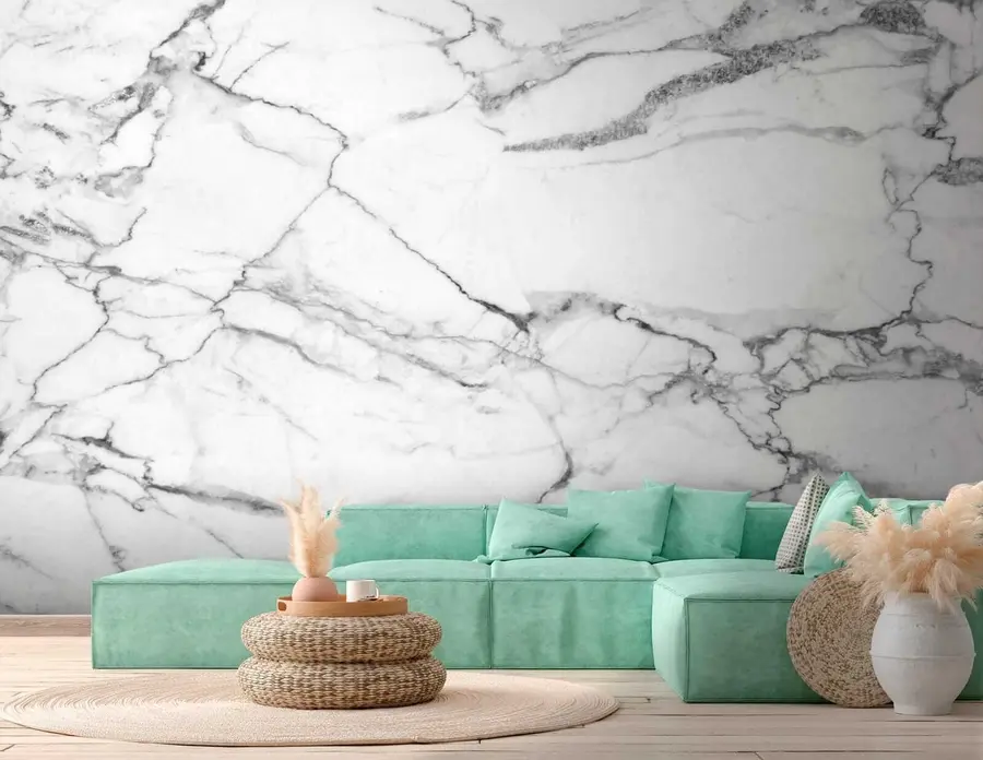 wall murals Ecoregion, natural environment and dry lake u32602
