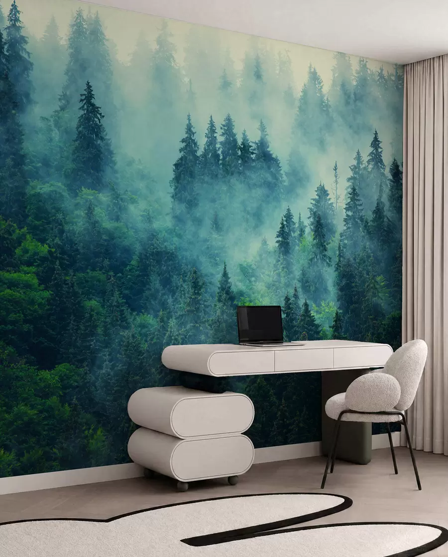 wall murals Foggy forest in the morning u33150