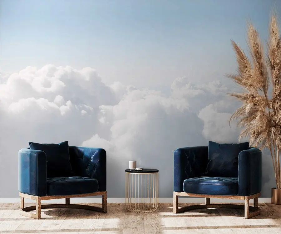 wall murals Flight in the clouds u35954