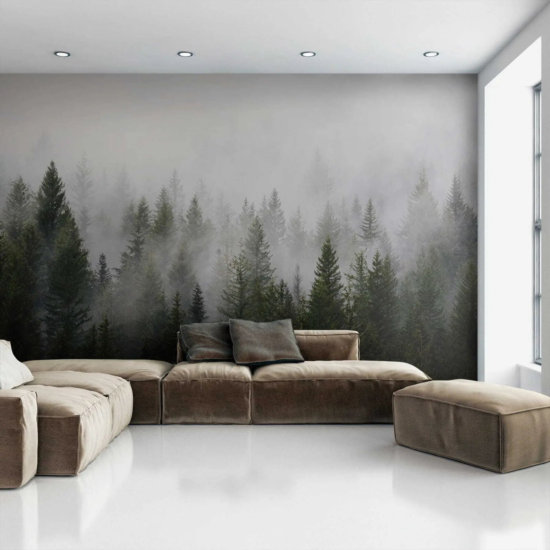 wall murals Forest in the fog u37073
