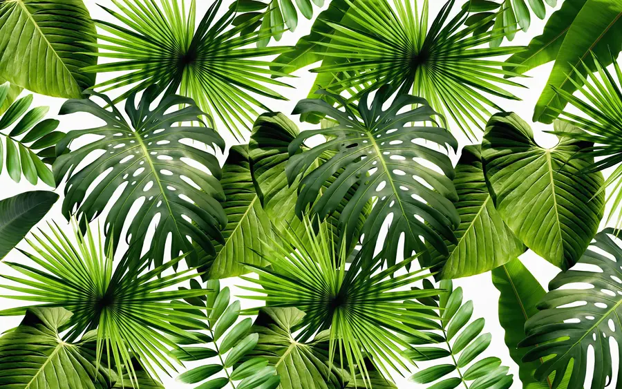 wall murals Tropical greens u37767