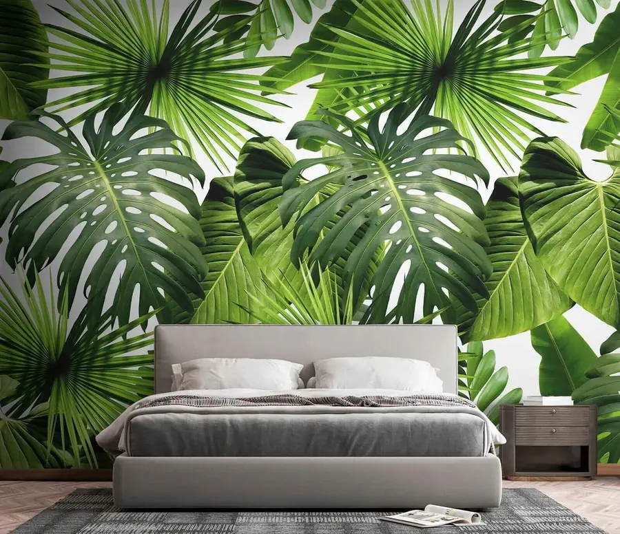 wall murals Tropical greens u37767