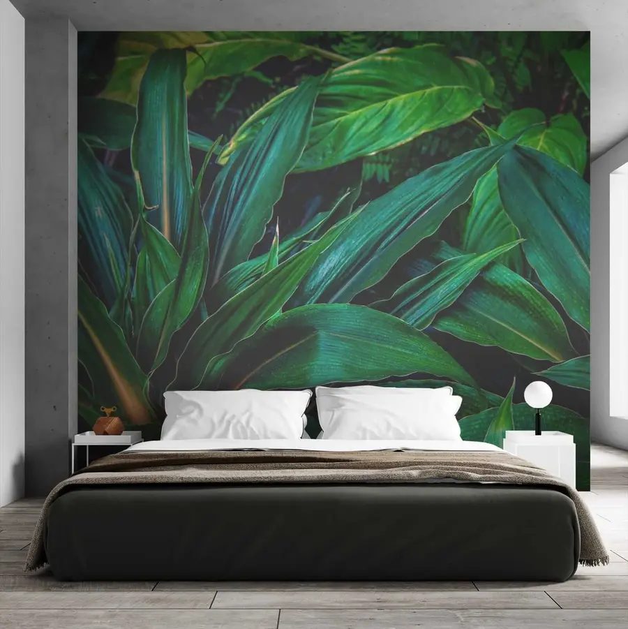 wall murals Plant, terrestrial plant and groundcover u41136