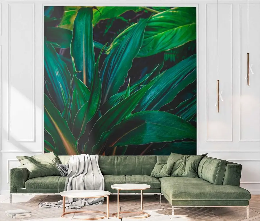 wall murals Plant, terrestrial plant and groundcover u41136