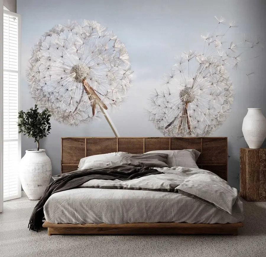 wall murals Big dandelions u44628