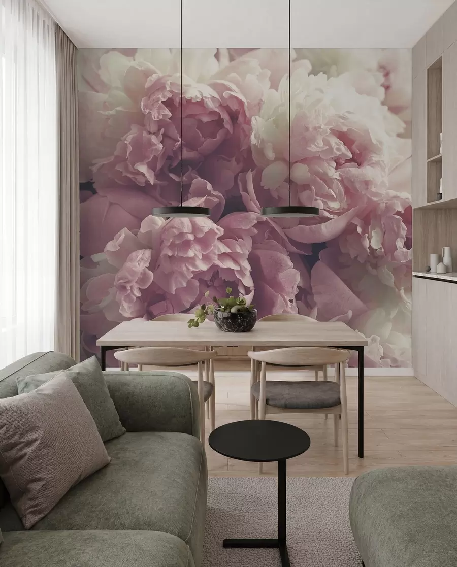 wall murals Flower, petal and pink u44746