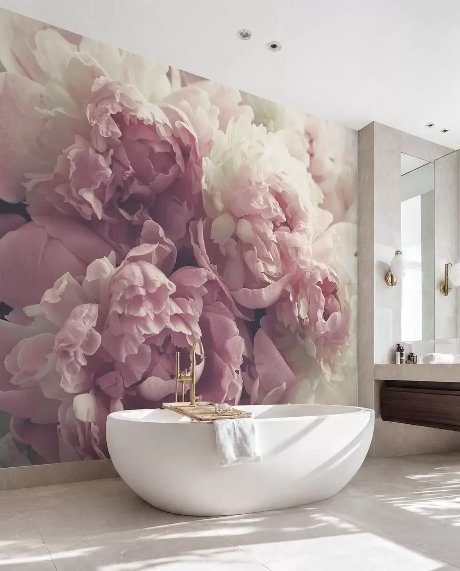 wall murals Flower, petal and pink u44746