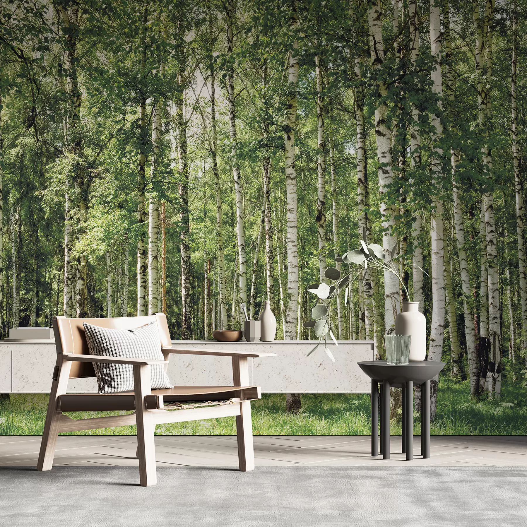wall murals Birch forest u52530