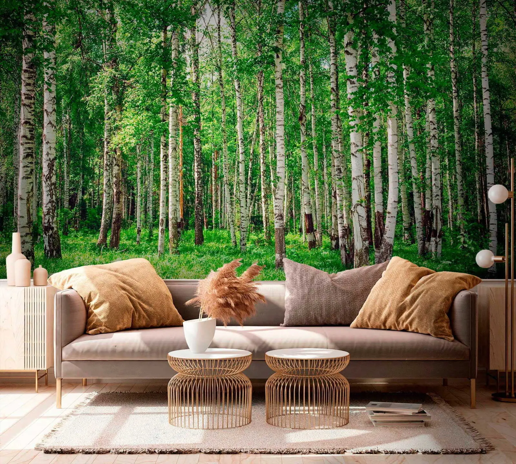 wall murals Birch forest u52530