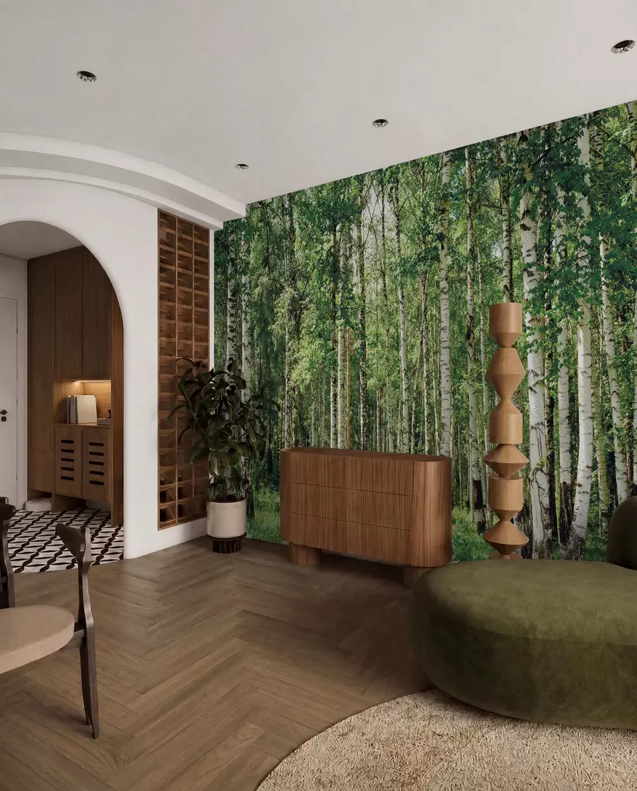 wall murals Birch forest u52530