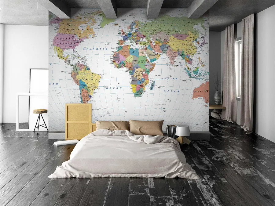 wall murals World map u53652
