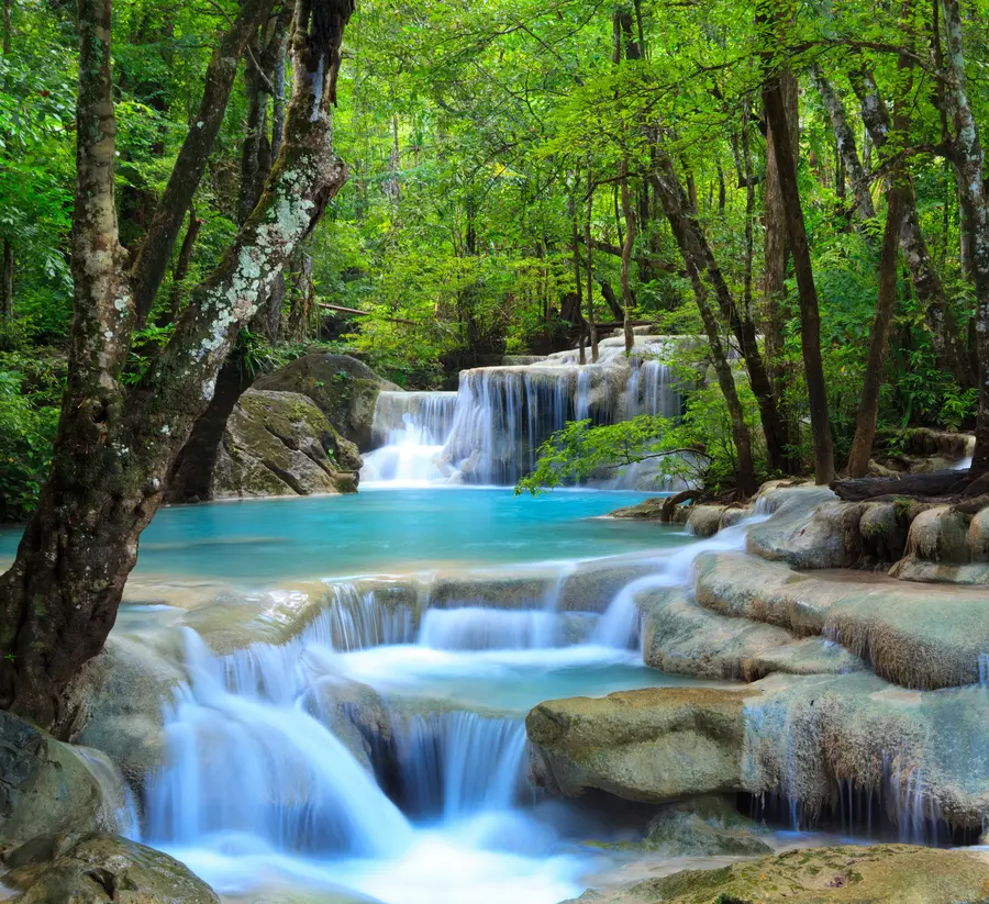 wall murals Waterfall rapids in the forest u54260