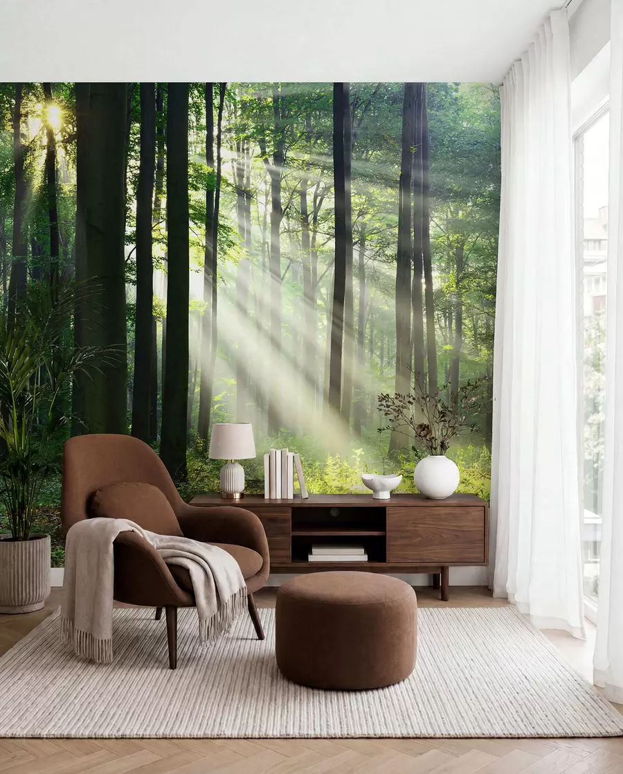 wall murals Plant, green and ecoregion u56787