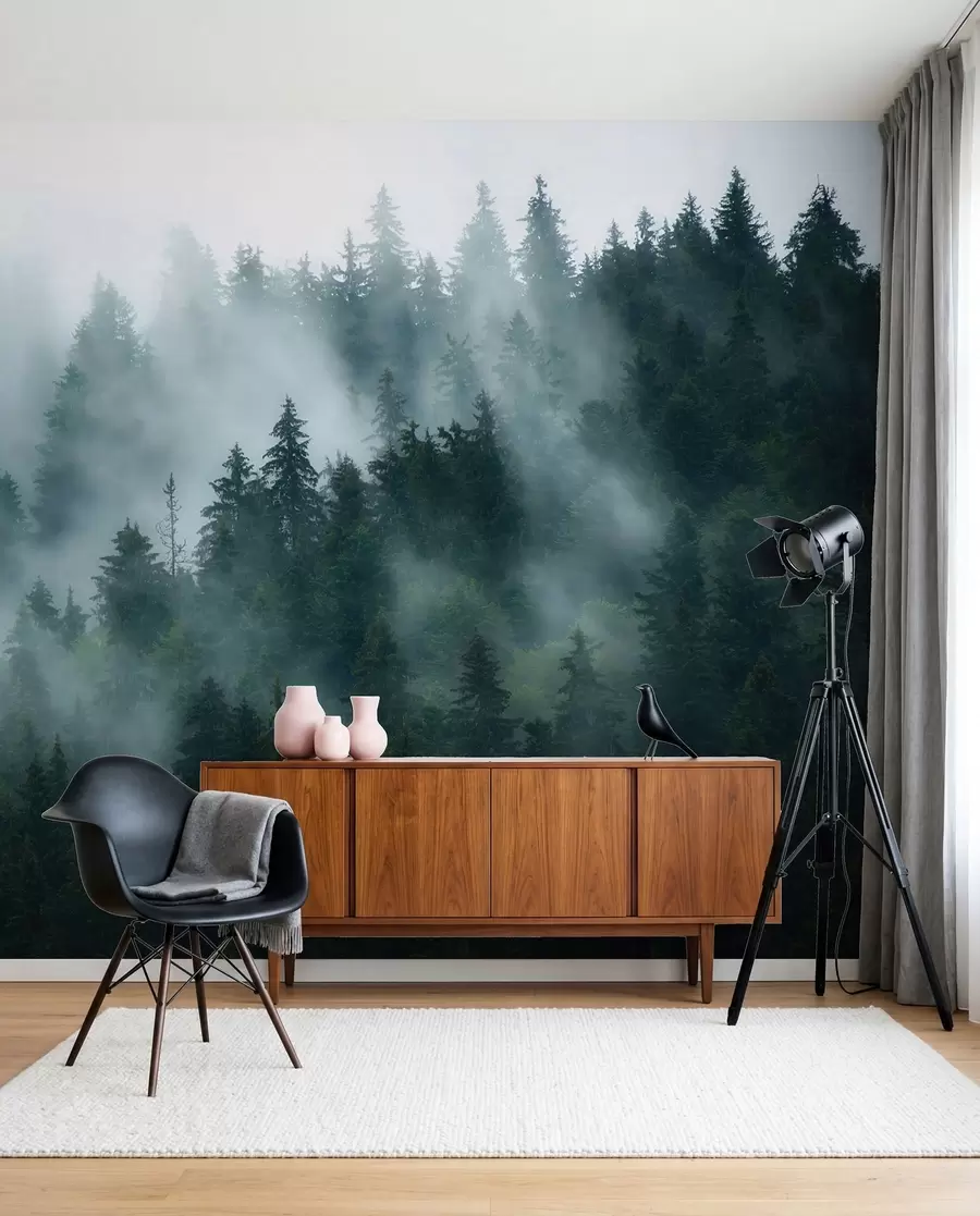 wall murals Foggy forest u57914