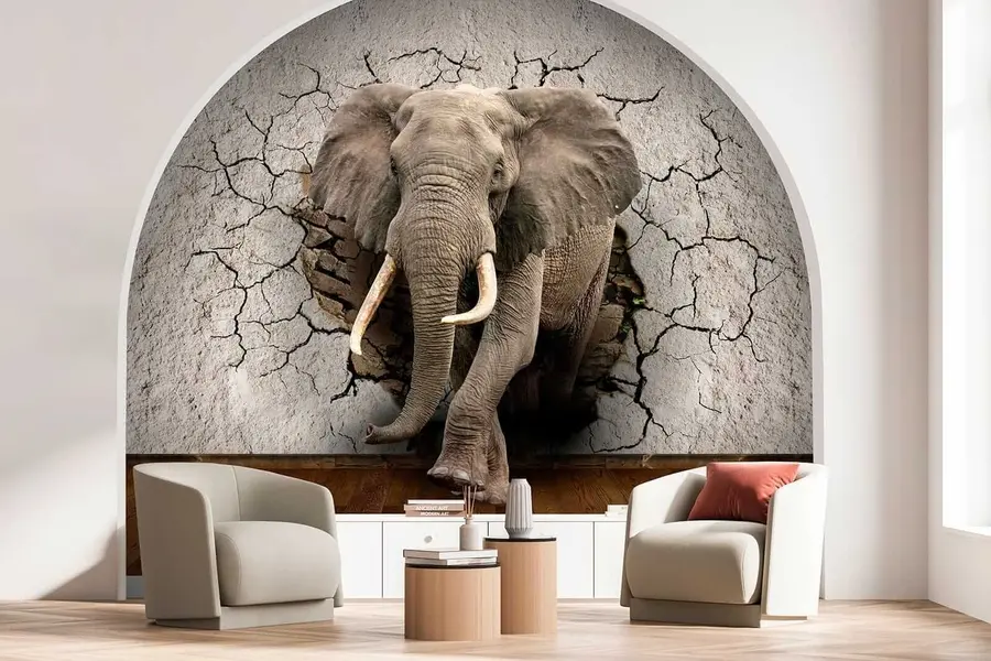 wall murals Elephant breaks through the wall u77854