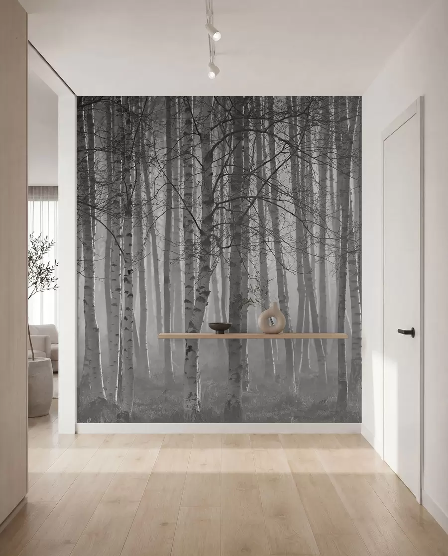 wall murals Morning mist in the birch forest u58971