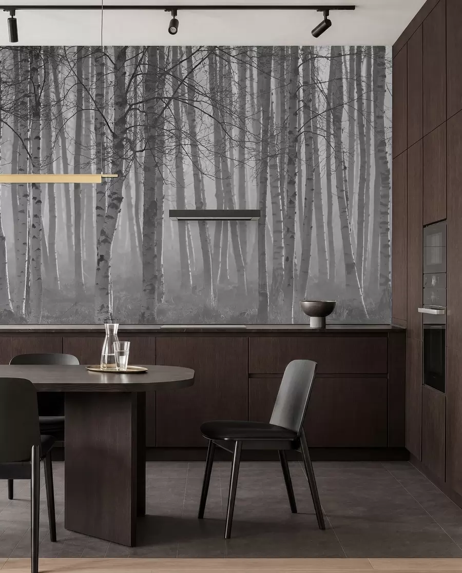 wall murals Morning mist in the birch forest u58971