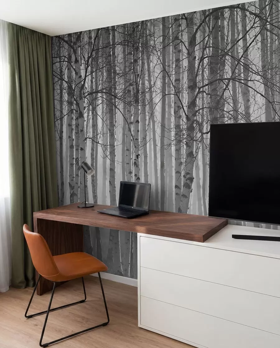 wall murals Morning mist in the birch forest u58971