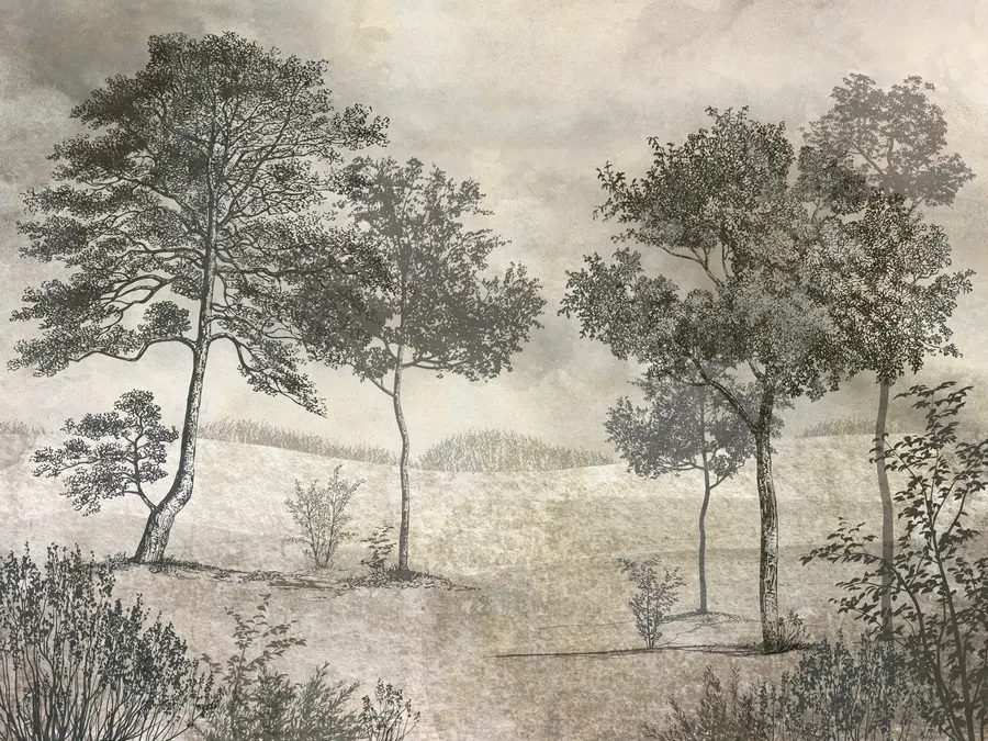 wall murals Vintage trees u80030