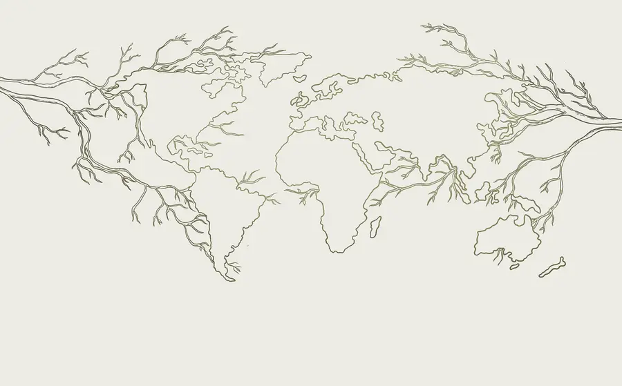 wall murals World Map, tree branches, line drawing, minimalism, nature, green u99731v1