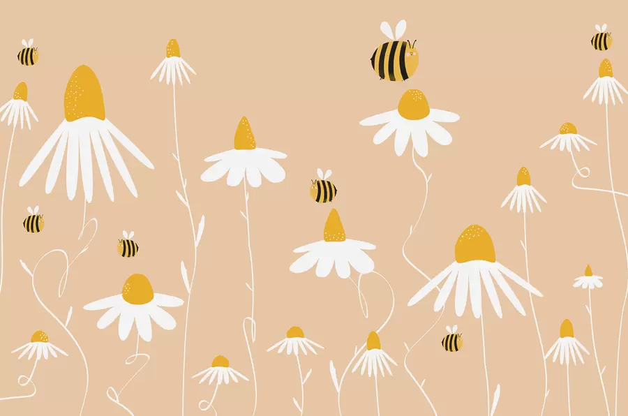 wall murals Daisies and bees, field, flowers, bloom, insect, pink, yellow and white w00653