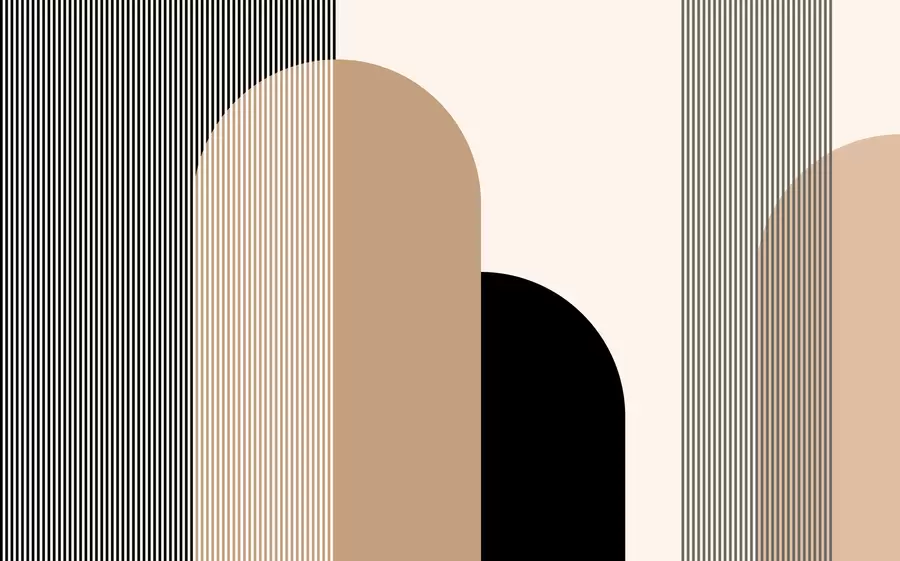 wall murals Abstraction with lines w00631