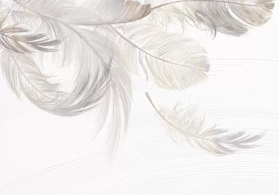 wall murals Soft, delicate white feathers floating on a light background w00739