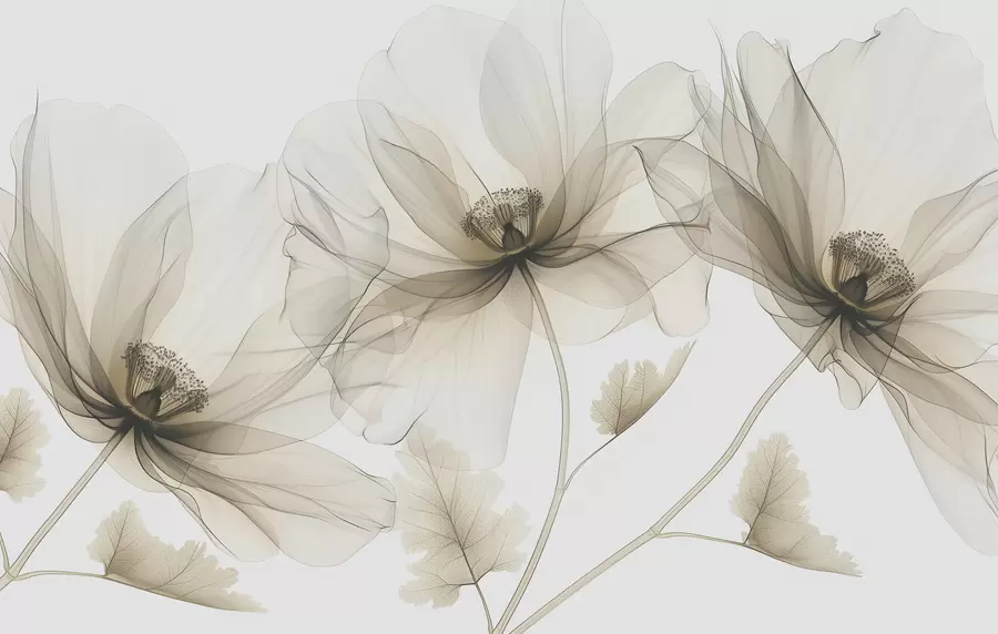 wall murals Brown transparent flower in X-ray style on white background Minimalistic monochrome botanical design w01482v2