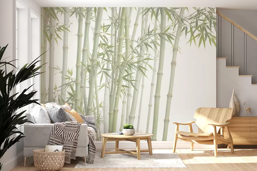 wall murals A dense bamboo forest with tall bamboo stalks and green leaves against a soft, hazy background w08237