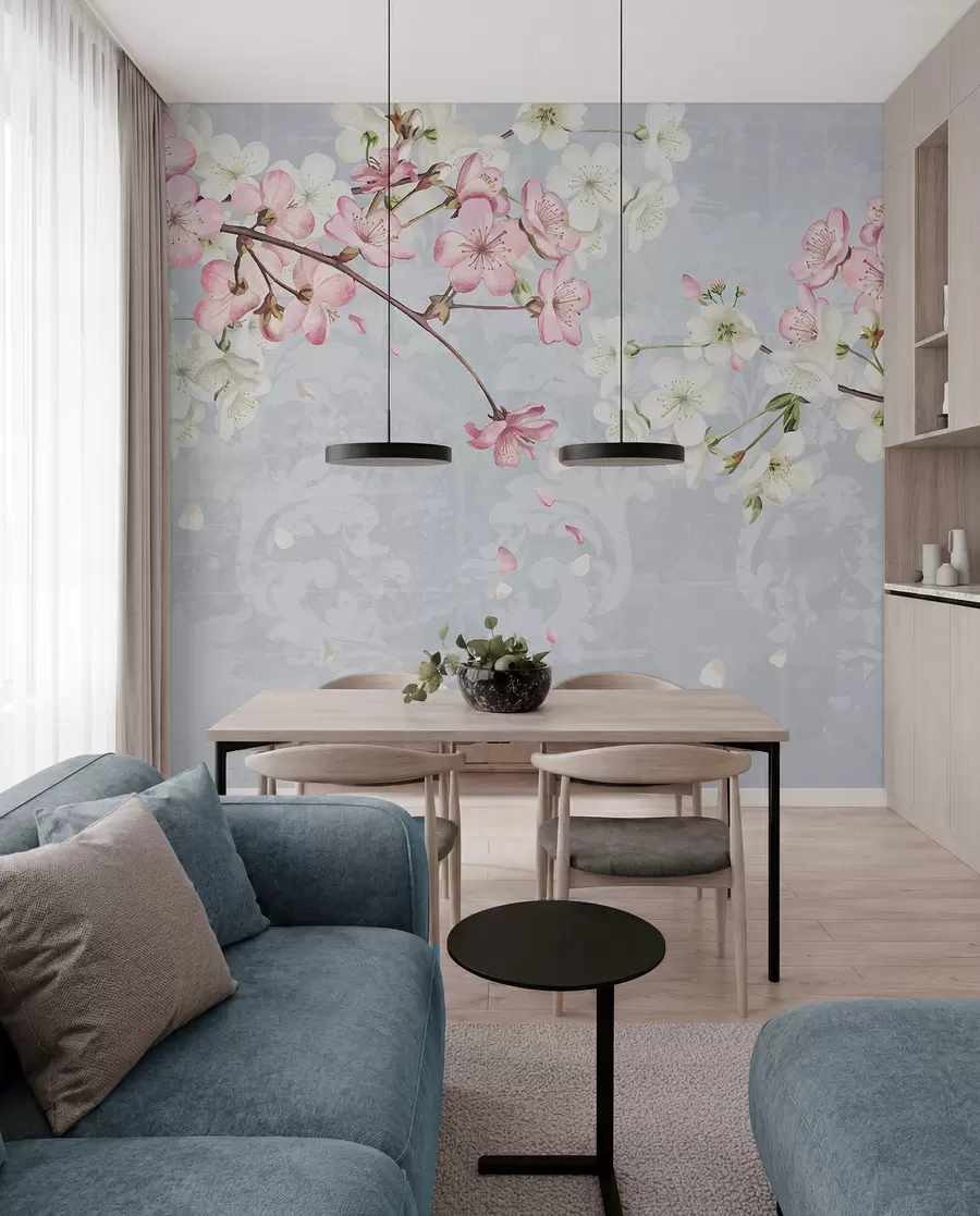 wall murals Pink and white cherry blossom flowers in full bloom, with soft petals falling against a textured blue background w08254