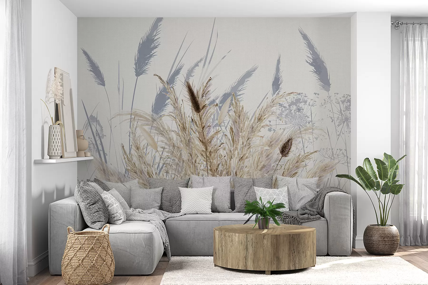 wall murals Tall stalks of wheat and grass with fluffy white plumes against a light background w08282