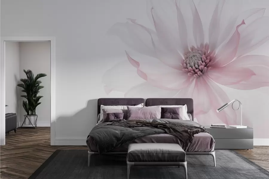 wall murals Delicate pink flower on light background w02077v2