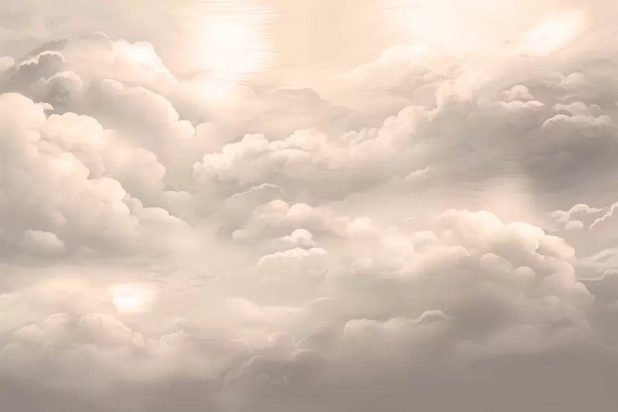 wall murals Clouds in sepia colour w02189