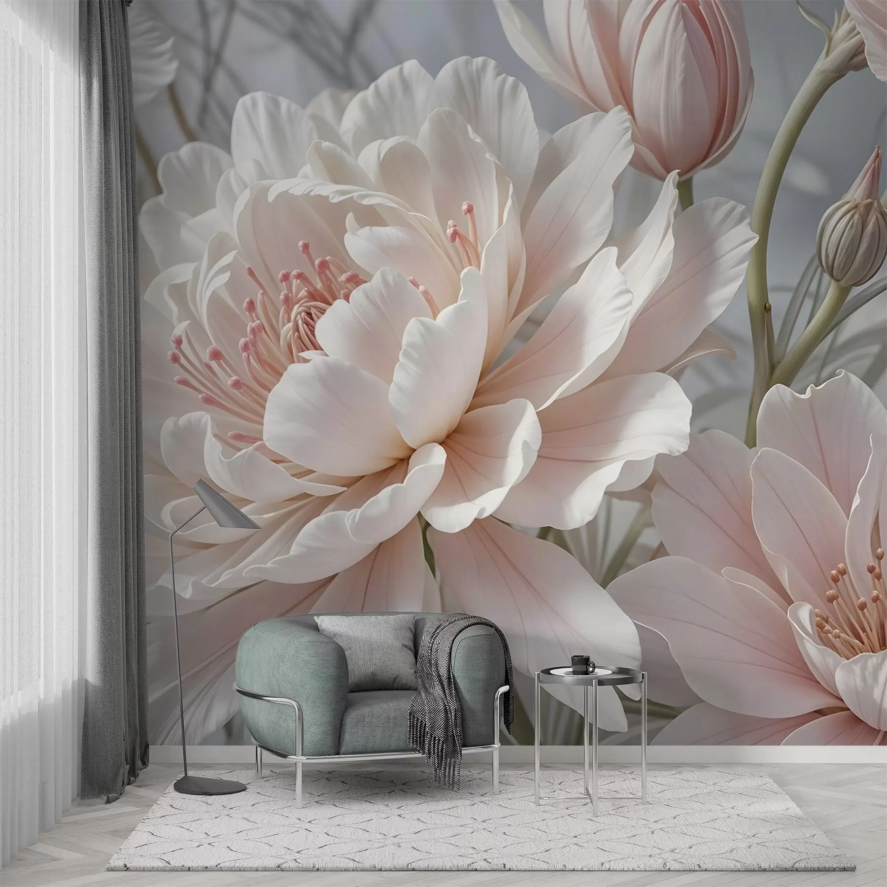 wall murals Large, delicate white and pink peony flowers with soft, fluffy petals against a blurred gray background w08427