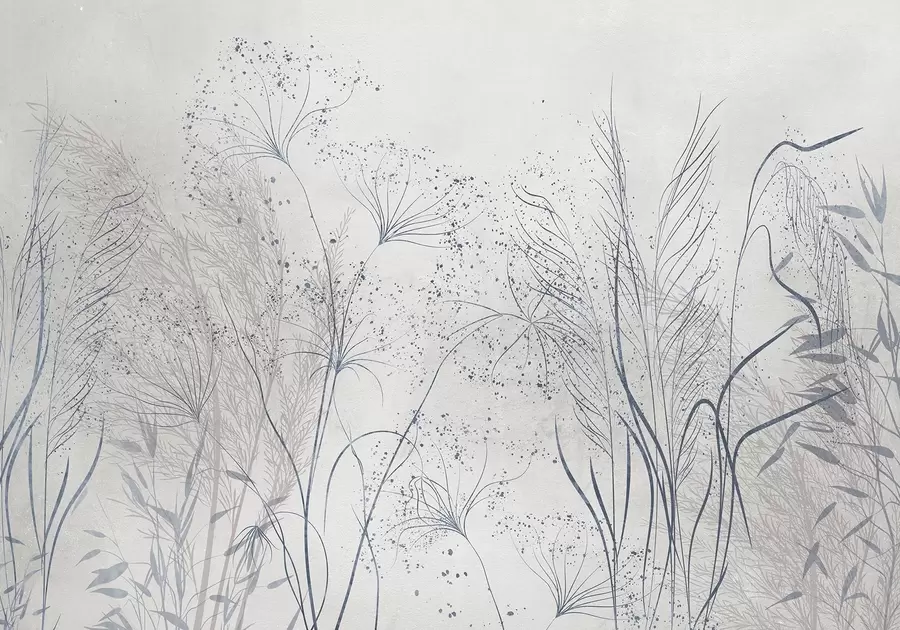 wall murals A monochrome illustration of various gray plants and spikelets with delicate, wispy lines and textures w08441v1