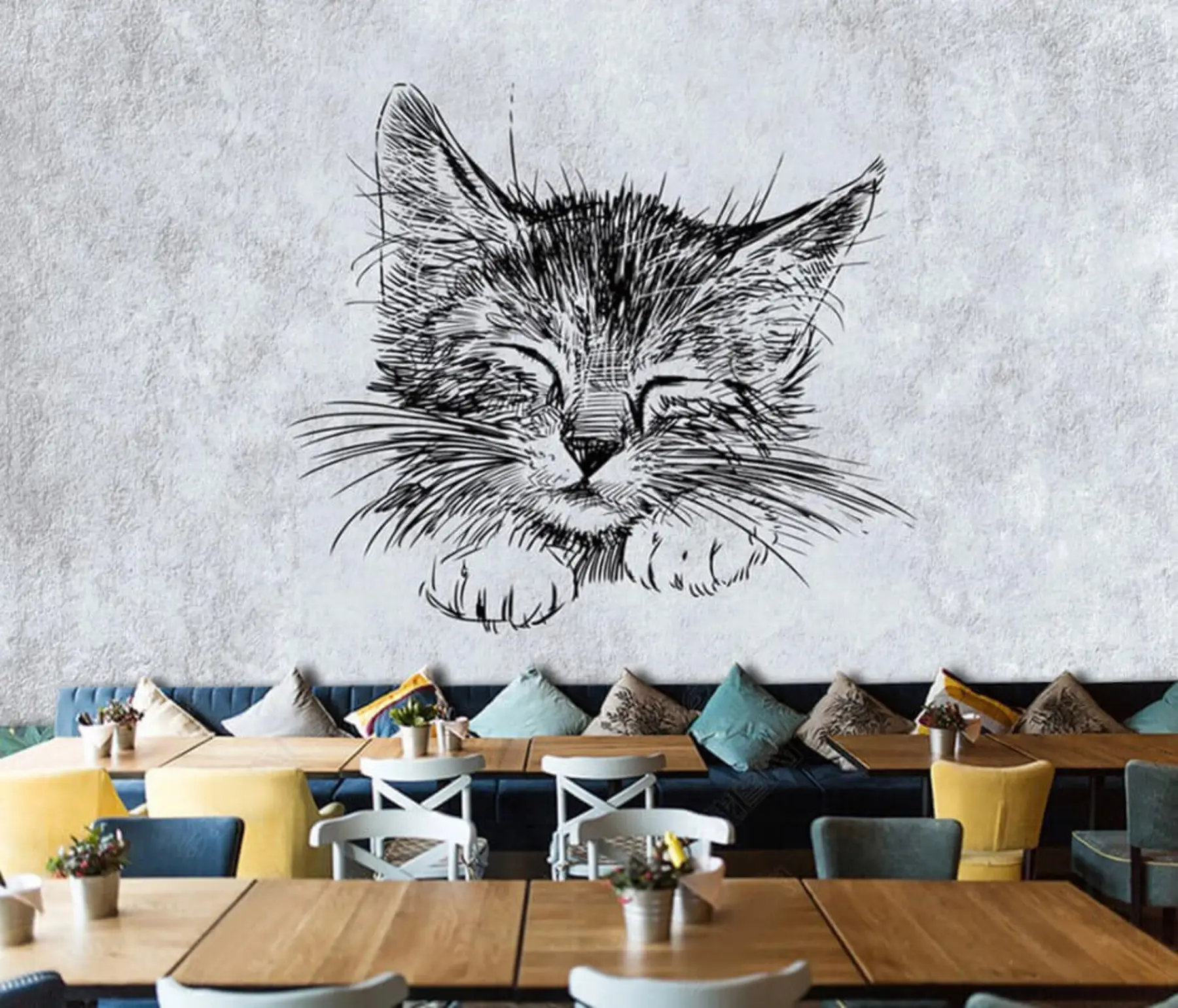 wall murals Cat, felidae e carnivore u43536