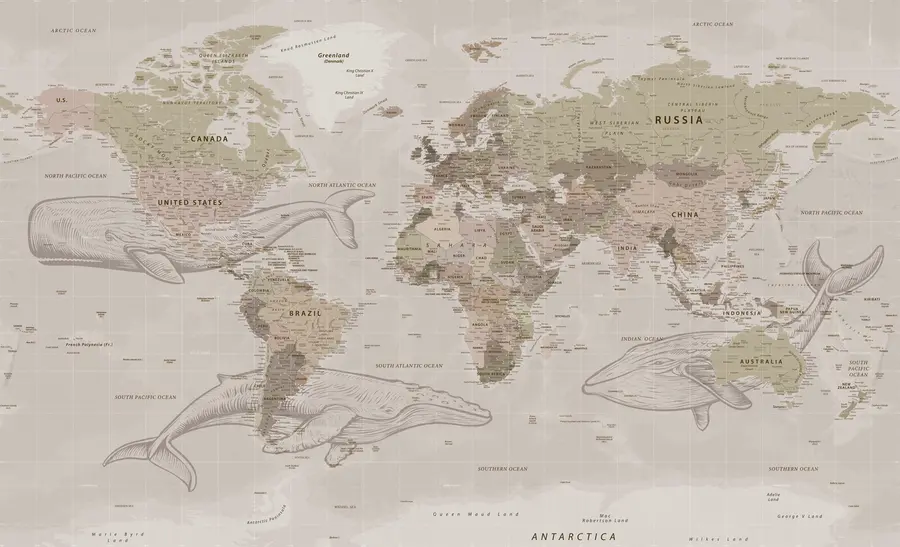 wall murals World map with whales u50449