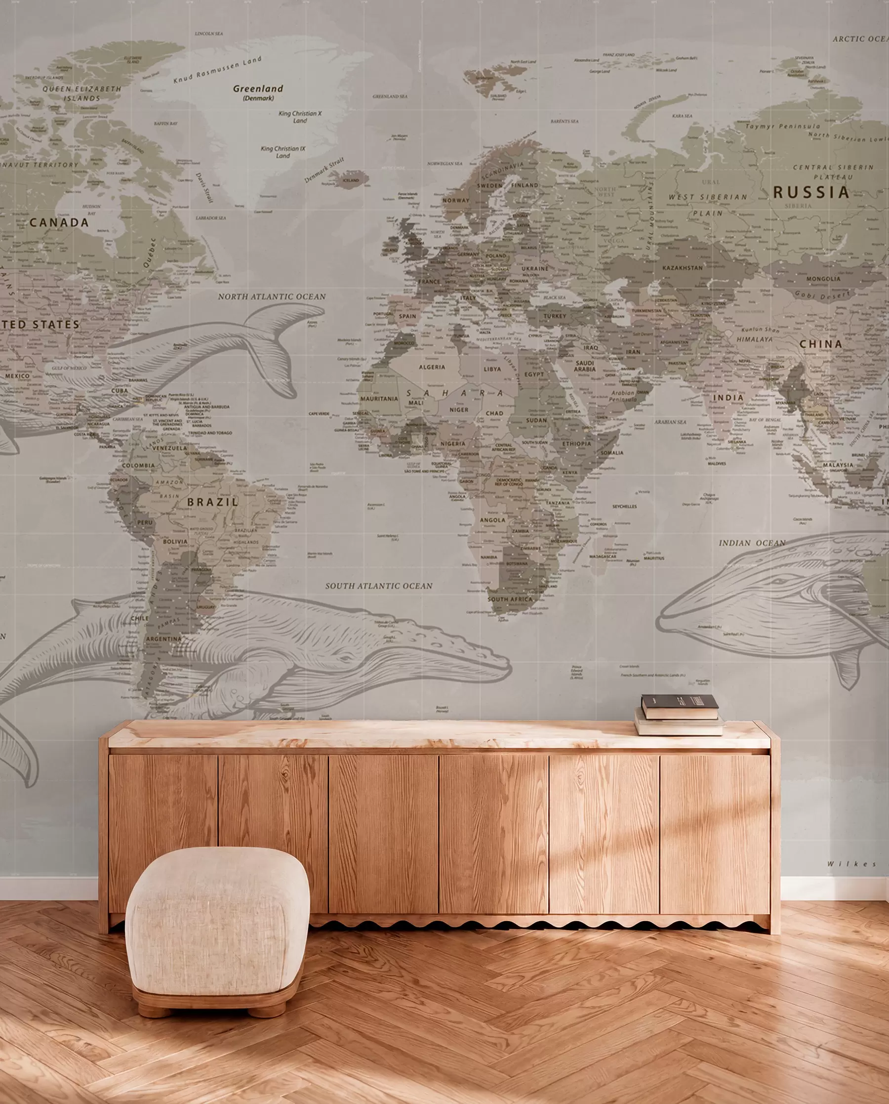 wall murals World map with whales u50449