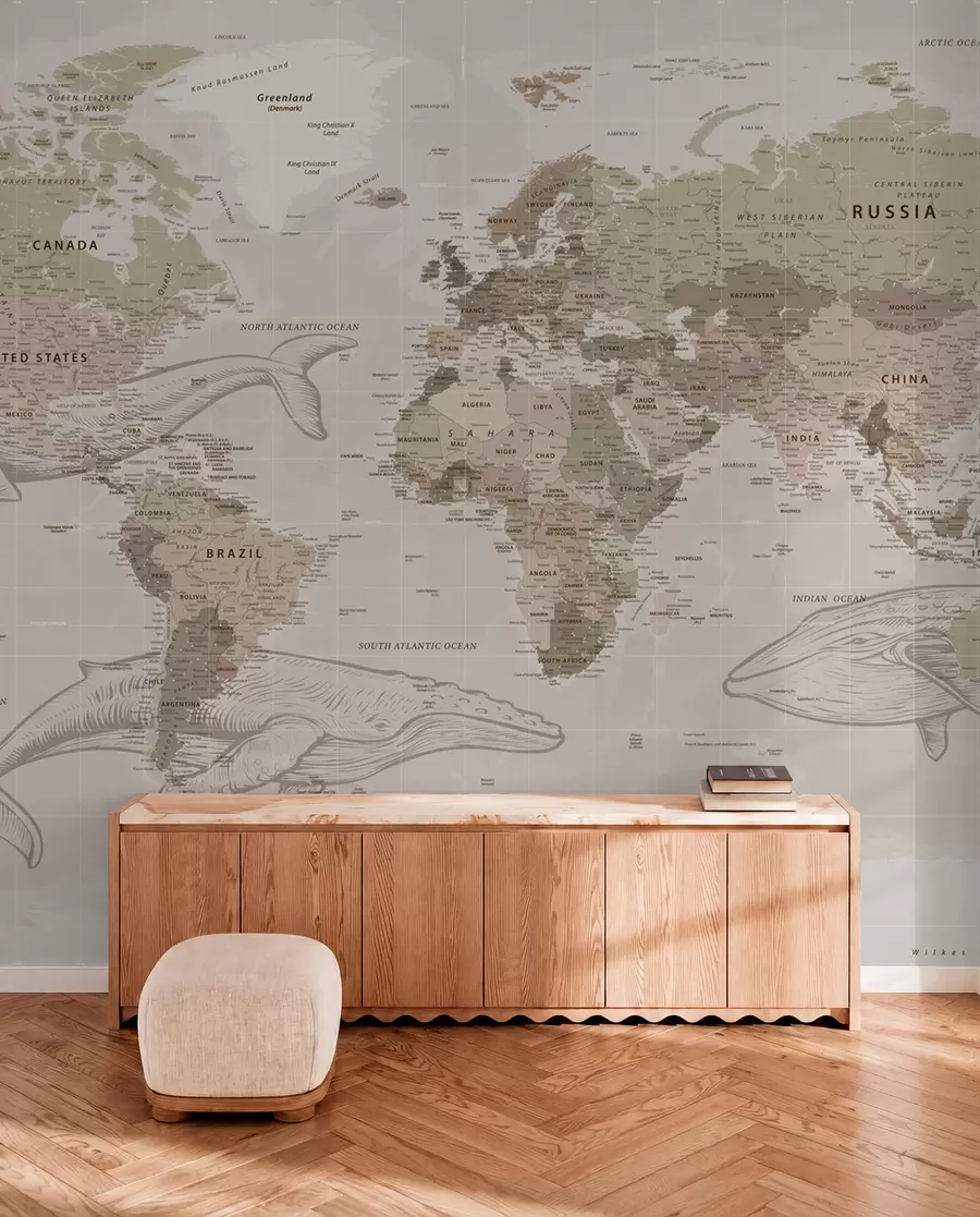 wall murals World map with whales u50449