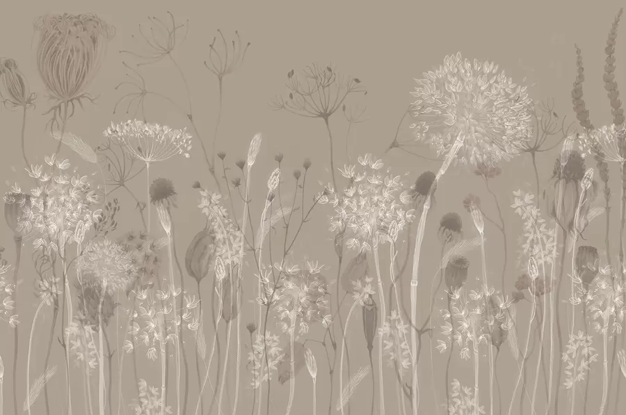 wall murals Graceful pattern with delicate dandelions, plants, and wildflowers in beige-grey tones w08637v2