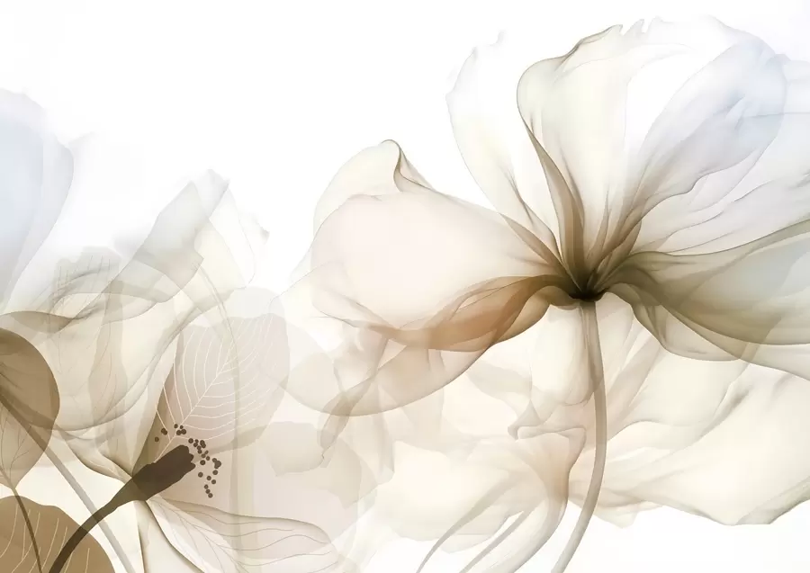 wall murals Brown abstract flowers with soft, translucent flowing petals and delicate detailes, against a white background w08742v1